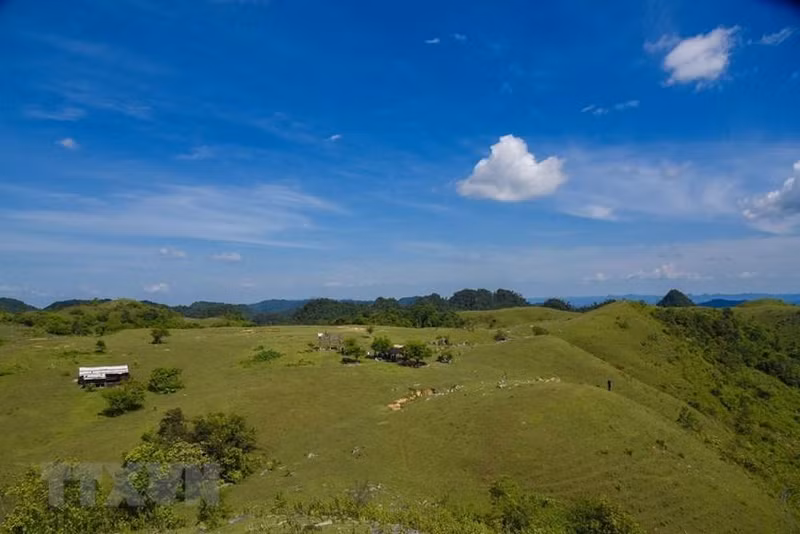  仙女山——谅山省宁静原始的旅游胜地【组图】 ảnh 3