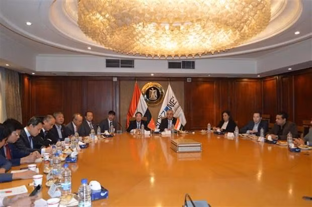 越南国会副主席阮德海访问埃及 ảnh 2