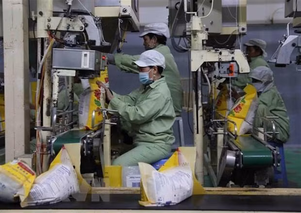 越南大米出口厂。（图片来源：越通社）