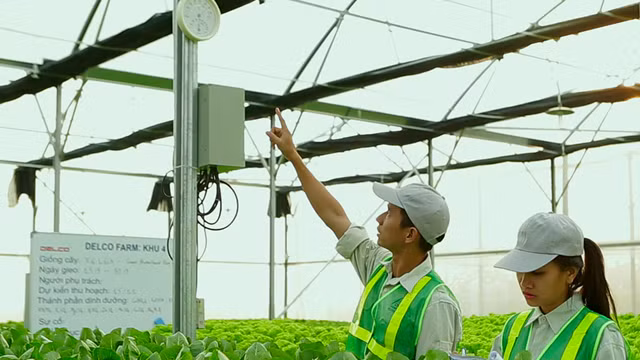 第四次工业革命时代的农场（组图） ảnh 2