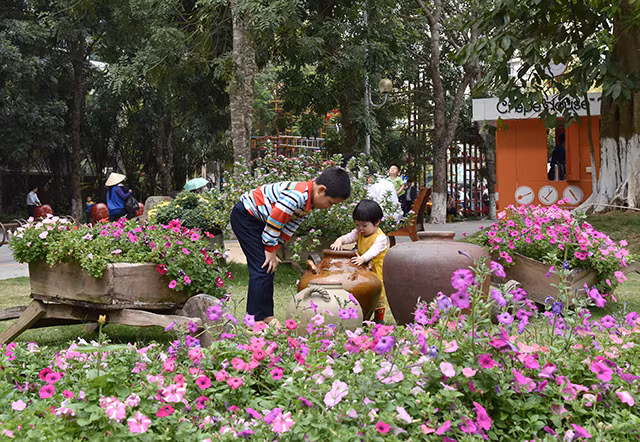 五颜六色的花街在 Ecopark 举行 ảnh 2