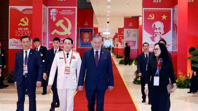 党和国家领导出席越南共产党第十四次全国代表大会预备会议【组图】