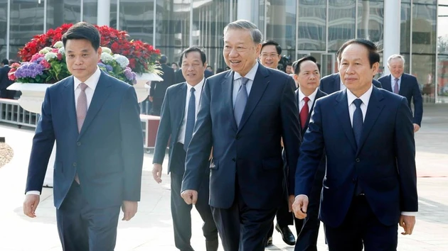 越共中央总书记苏林同越共海防市委员会举行工作会议【组图】