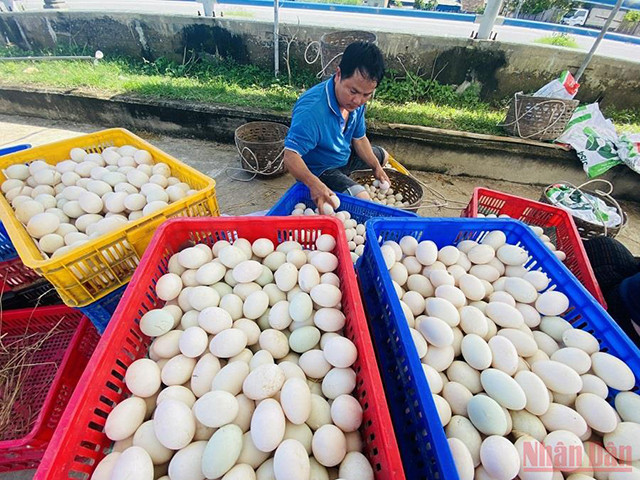 城市中心的“游牧”生活（组图） ảnh 8