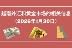 越南外汇和黄金市场的相关信息【图表新闻】