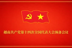 越南共产党第十四次全国代表大会预备会议【图表新闻】