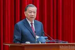 越共中央总书记苏林：弘扬越南智慧与本领 在新发展时代稳步阔步前行