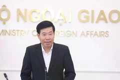 外交部常务副部长阮孟强。（图片来源：越通社）