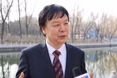 北京外国语大学东南亚研究中心主任米良教授。（图片来源：越通社）