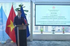 越南常驻联合国代表团团长杜雄越大使在活动上致辞。（图片来源：越通社）