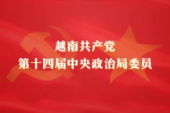 越南共产党第十四届中央政治局委员名单【图表新闻】