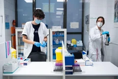 西班牙马德里一家诊所的医务人员正在工作。（图片来源：新华社）