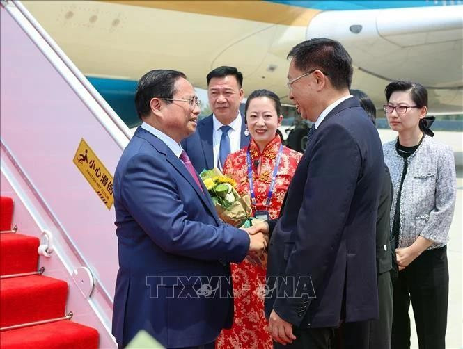 天津市副市长王秀峰前往天津滨海国际机场迎接越南政府总理范明正及越南代表团。（图片来源：越通社）