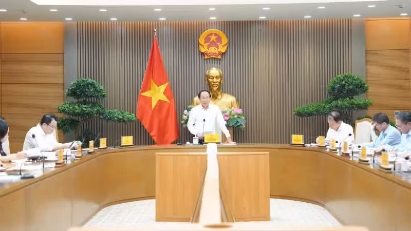 越南政府副总理黎进珠主持召开全面排查工作情况汇报会。（图片来源：越南人民报网）