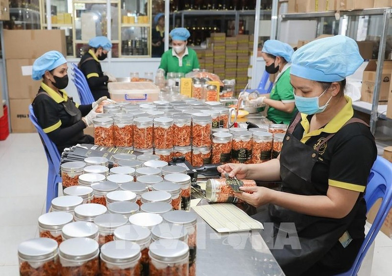 越南力争2026年农林水产品出口额达730亿-740亿美元。（图片来源：越通社）