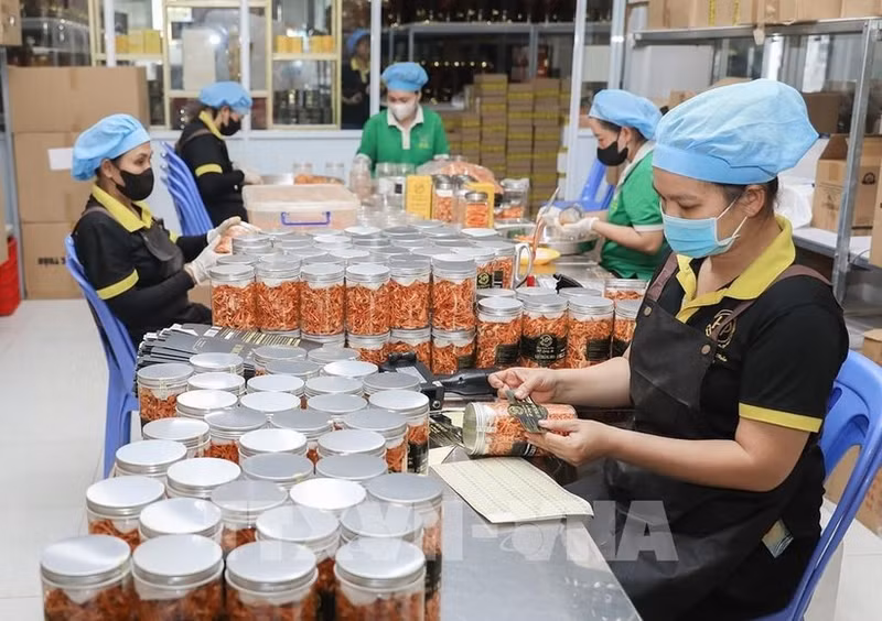 越南力争2026年农林水产品出口额达730亿-740亿美元。（图片来源：越通社）