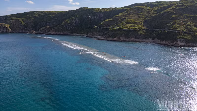 这一“奇观”已成为游客来到仁海渔村时不可错过的热门景点。