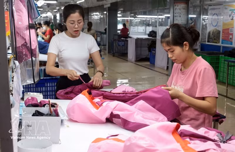 附图。（图片来源：越通社）