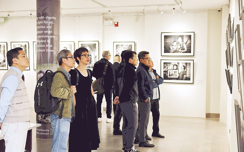 仅在11月，河内市共举行29个摄影展以及多场相关座谈会和工作坊，吸引大量国内外游客前来参观。