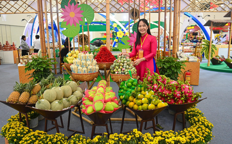 2026年春季博览会汇聚来自全国三大的众多展位，打造独具特色的文化空间，吸引游客驻足参观。（图片来源：民智报网）