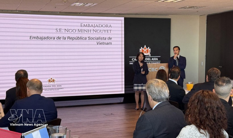 越南驻阿根廷大使吴明月在研讨会上发言。（图片来源：越通社）