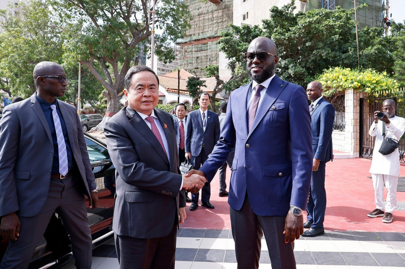 塞内加尔国民议会议长马利克·恩迪亚耶举行隆重仪式欢迎越南国会主席陈青敏一行访问。