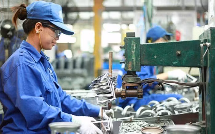 附图。（图片来源：越通社）