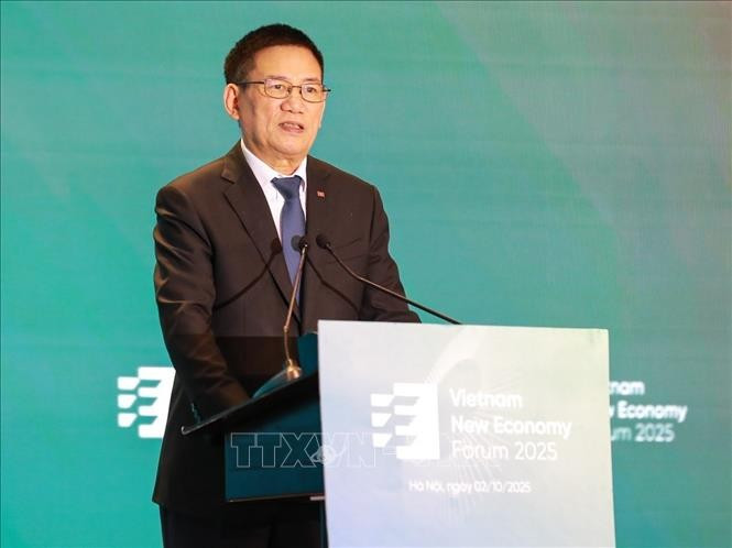 越南政府副总理胡德福在会上致辞。（图片来源：越通社）