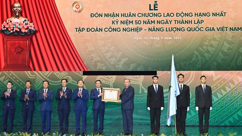 苏林总书记向越南国家工业-能源集团授予一级劳动勋章。（登科 摄）
