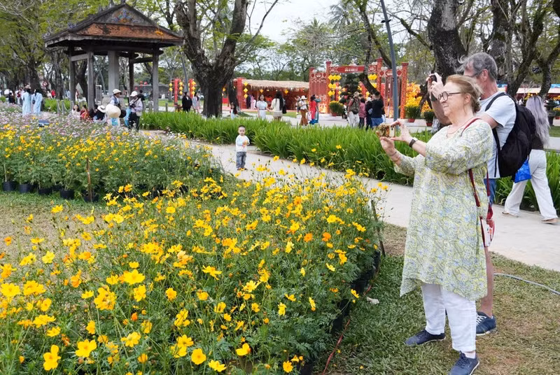 顺化市富春坊的春节鲜花装饰空间吸引众多国际游客参观拍照。（图片来源：越通社）