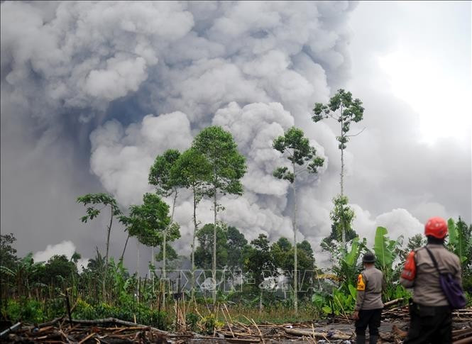 印尼塞梅鲁火山喷发。（图片来源：越通社）