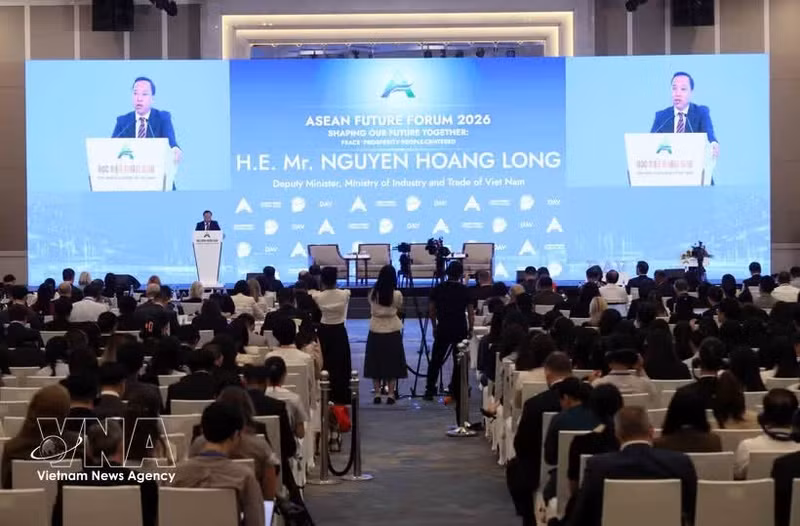 越南工贸部副部长阮黄龙发表讲话。（图片来源：越通社）