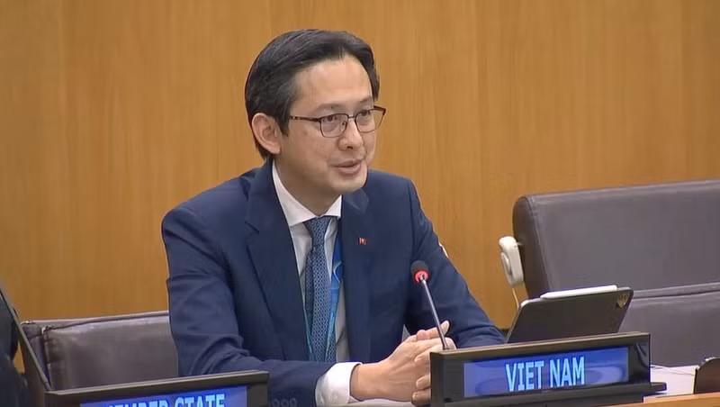 越南常驻联合国代表团团长杜雄越大使。（图片来源：越通社）