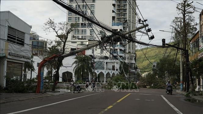 第13号台风造成严重损失。（图片来源：越通社）