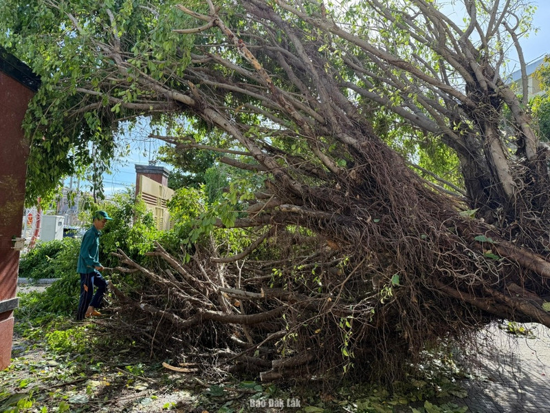 第13号台风袭击得乐省，给该省造成超1700亿越盾的损失（图片来源：得乐报网）