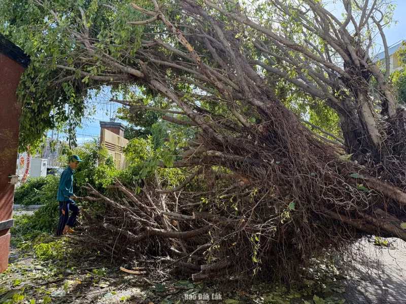 第13号台风袭击得乐省，给该省造成超1700亿越盾的损失（图片来源：得乐报网）