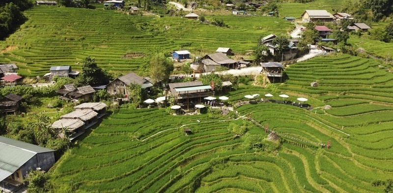 力争建设现代化、富有特色且可持续发展的新农村。（图片来源：越通社）