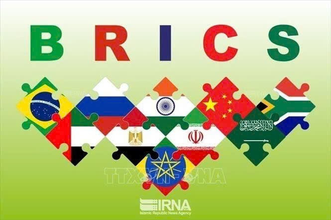 金砖国家国旗。（图片来源：越通社）