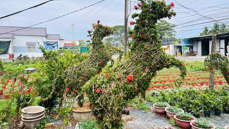 马形造型盆景深受消费者青睐。