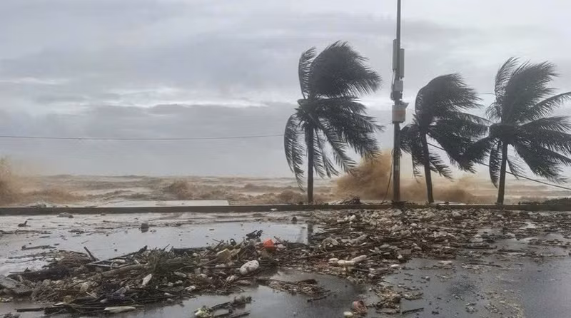 附图。（图片来源：越通社）