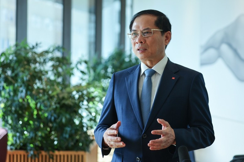 越南政府副总理兼外交部长裴青山。（图片来源：政府网）