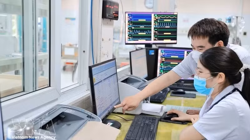 附图。（图片来源： 越通社）