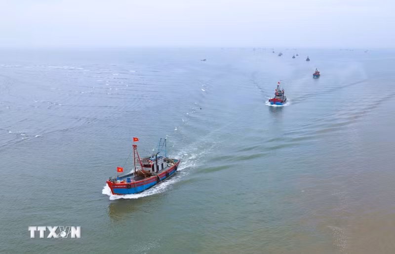 附图。（图片来源：越通社）