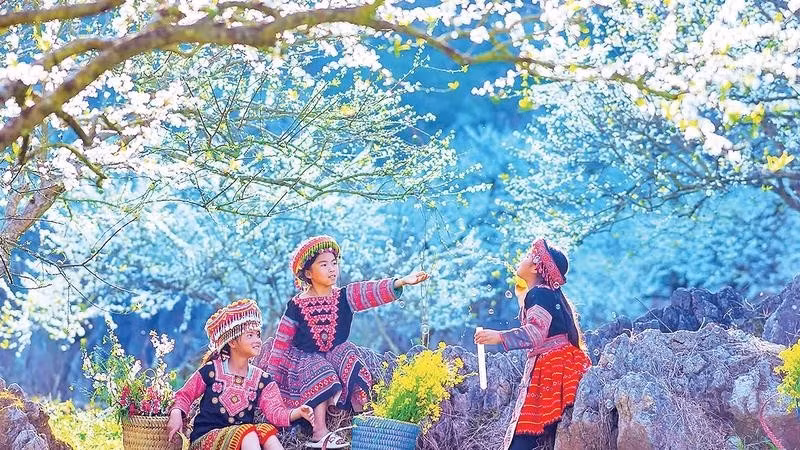 绚丽春色映照梅山。