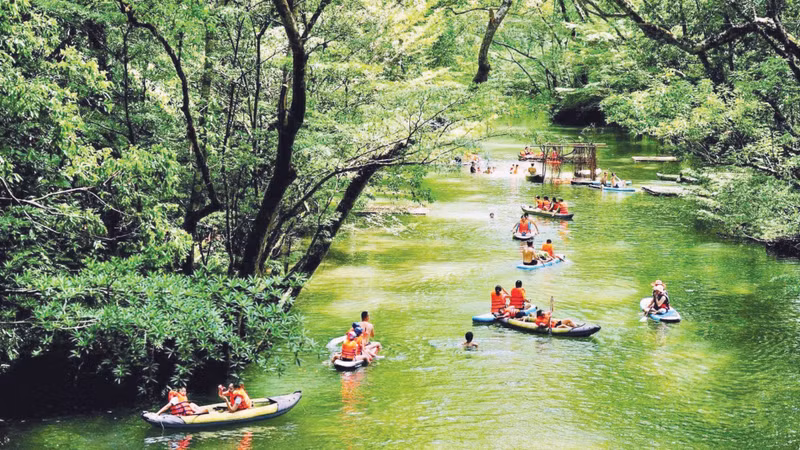 广治省西北部生态旅游区。（黄安 摄）