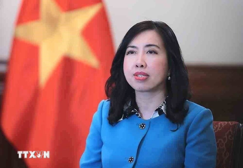 越南外交部副部长黎氏秋姮。（图片来源：越通社）