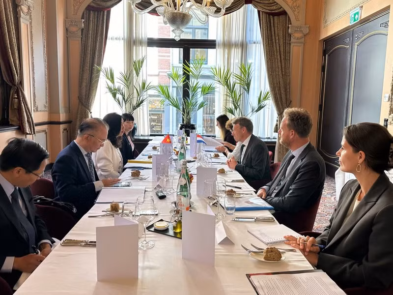 越南与荷兰举行首次副外长级政治磋商。（图片来源：越通社）