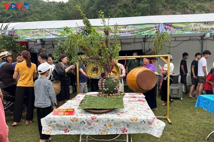 当地政府和农民推销农产品和水果。（图片来源：越南之声）
