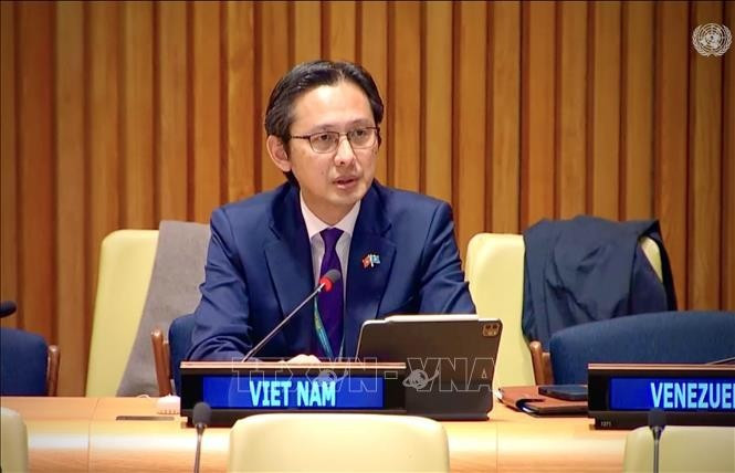 越南常驻联合国代表团团长杜雄越大使出席专题全体讨论。（图片来源：越通社）