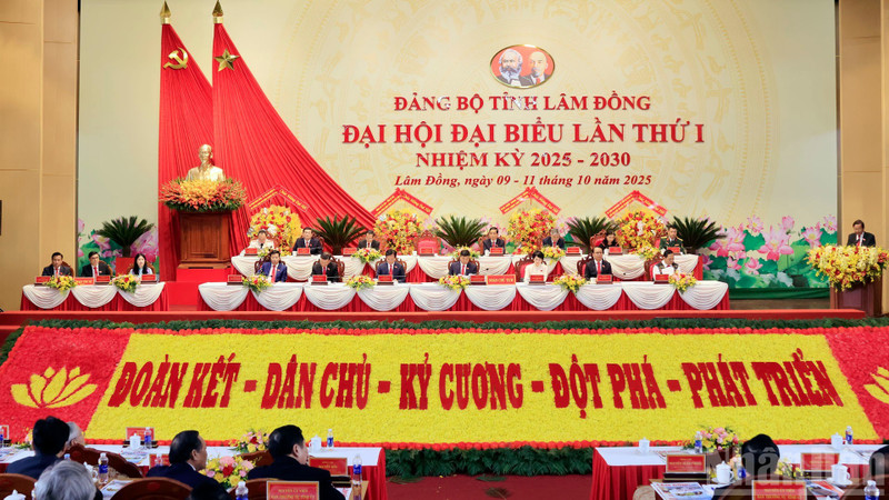 越南共产党林同省第一次代表大会（2025-2030年任期）于10月11日圆满闭幕。（梅文宝 摄）